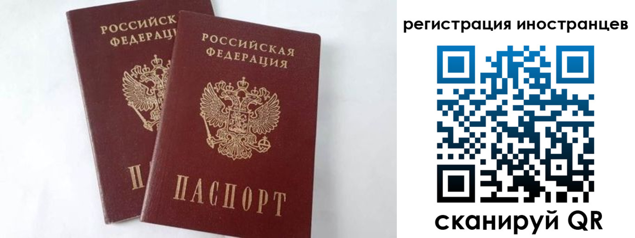 регистрация для школы в Чаплыгине